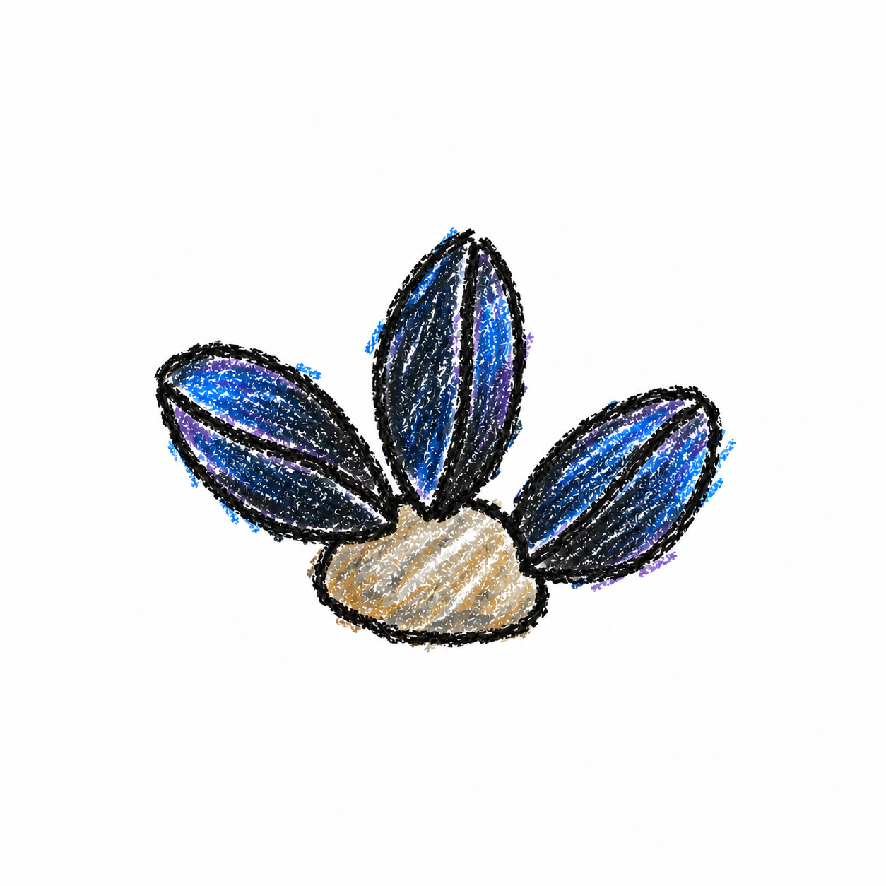 Mussel Scene