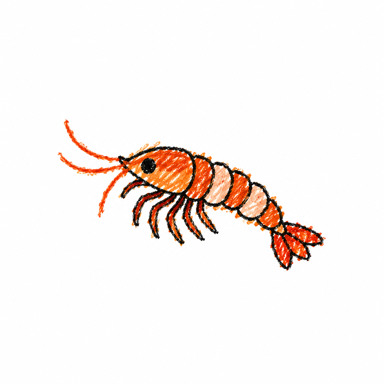 Krill