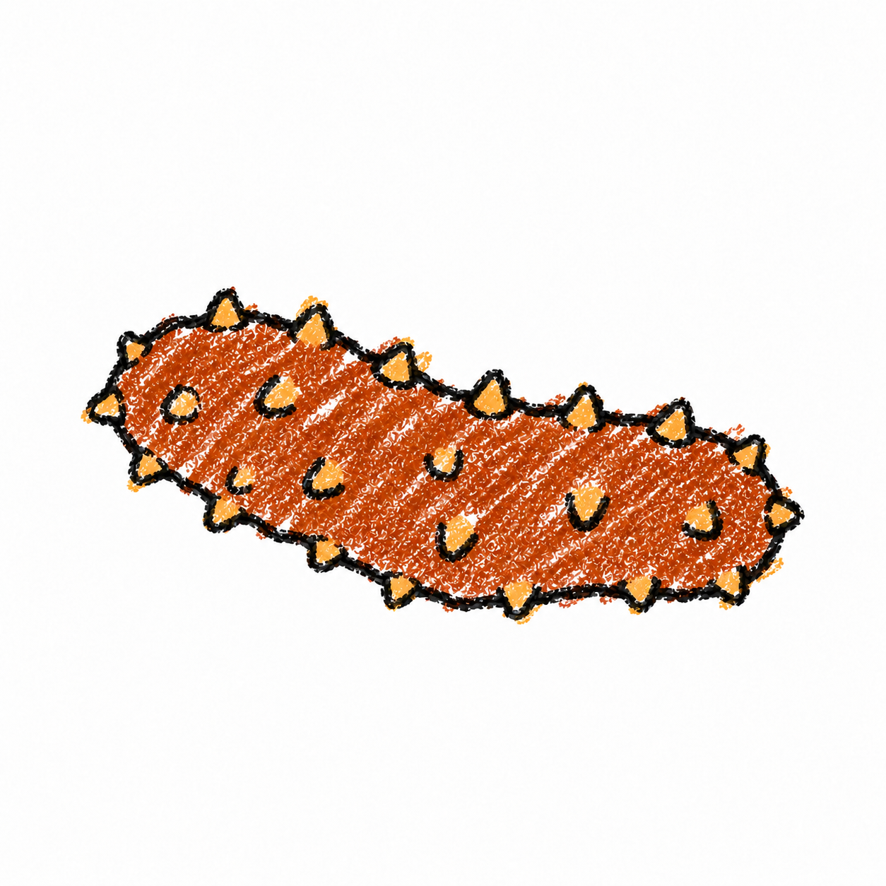 Sea cucumber