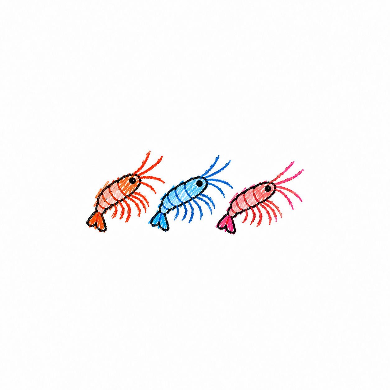 Krill Scene