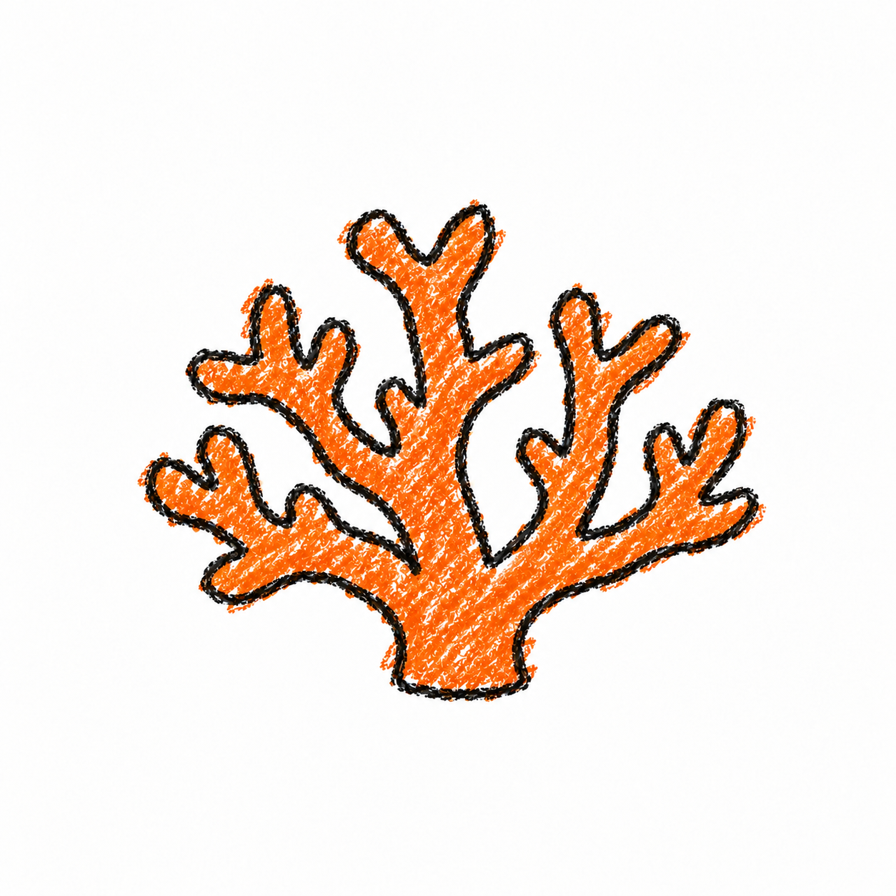 Staghorn coral