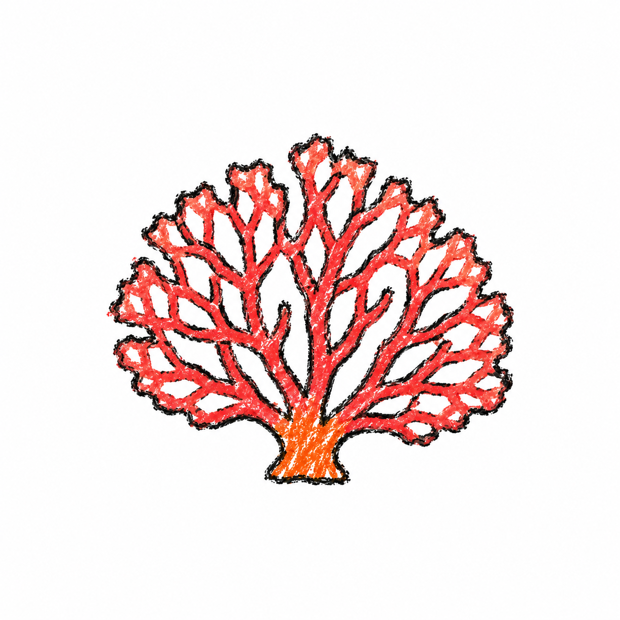 Sea fan