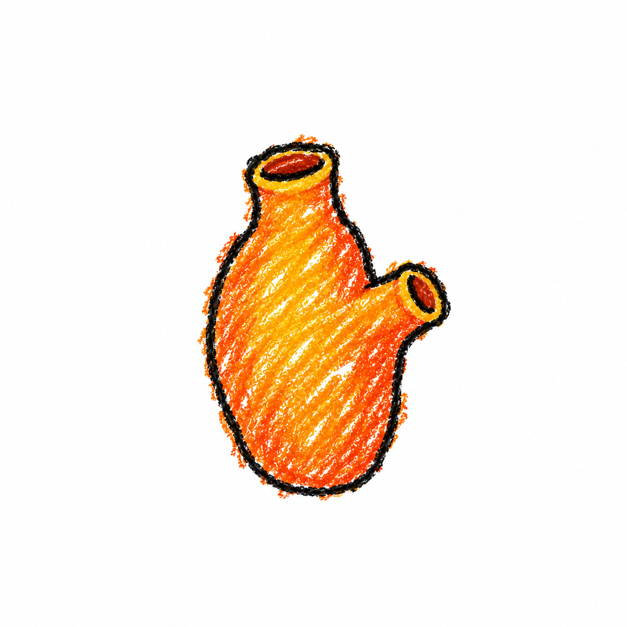 Sea squirt
