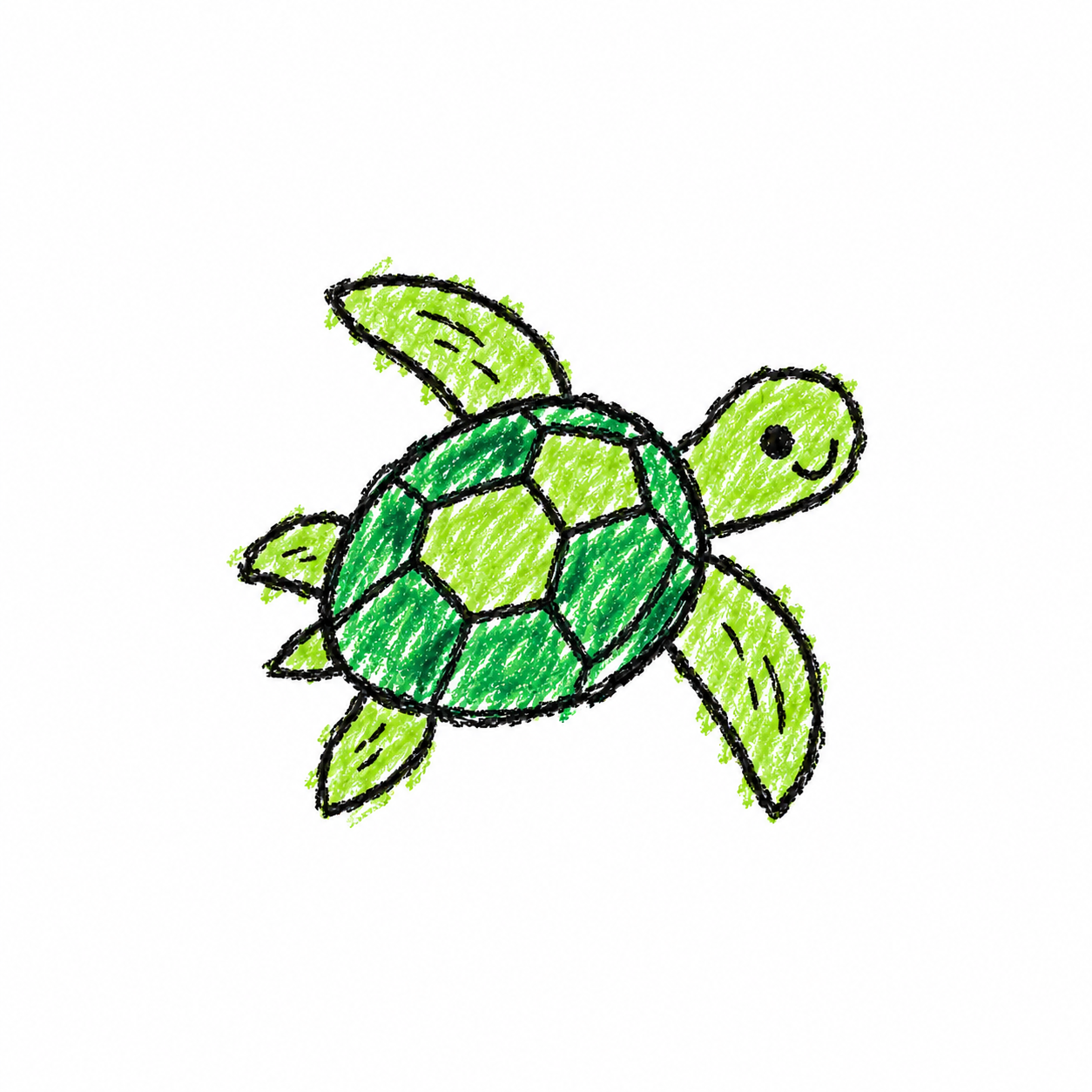 Green sea turtle