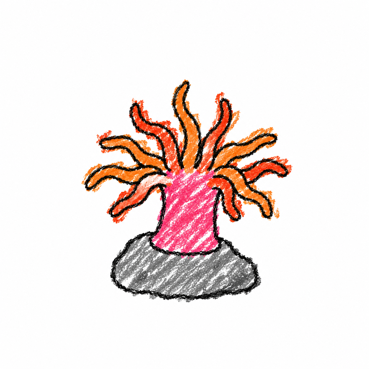 Sea anemone Scene