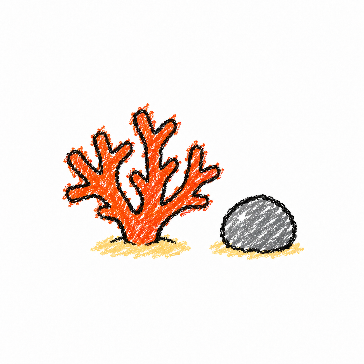 Staghorn coral Scene