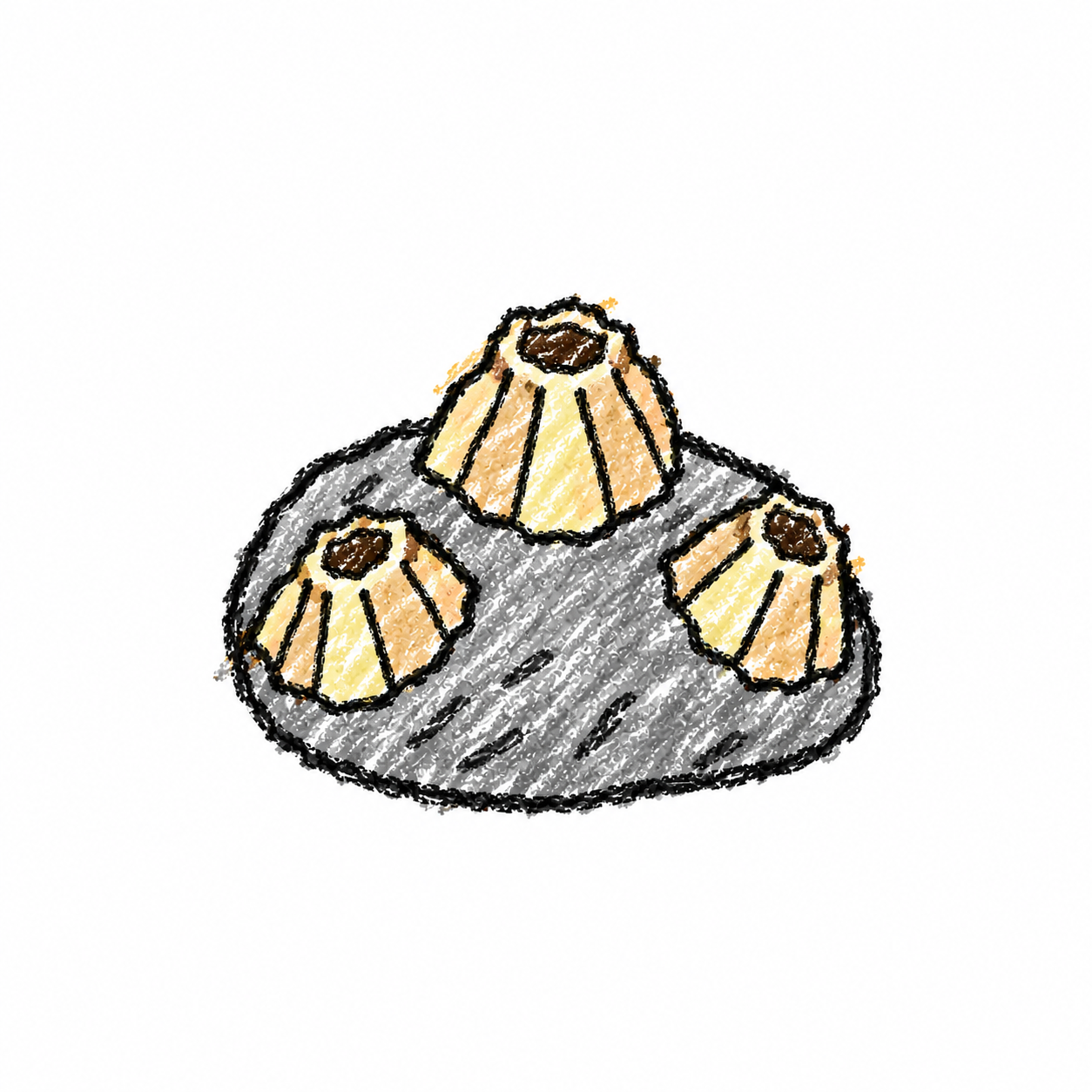 Barnacle Scene