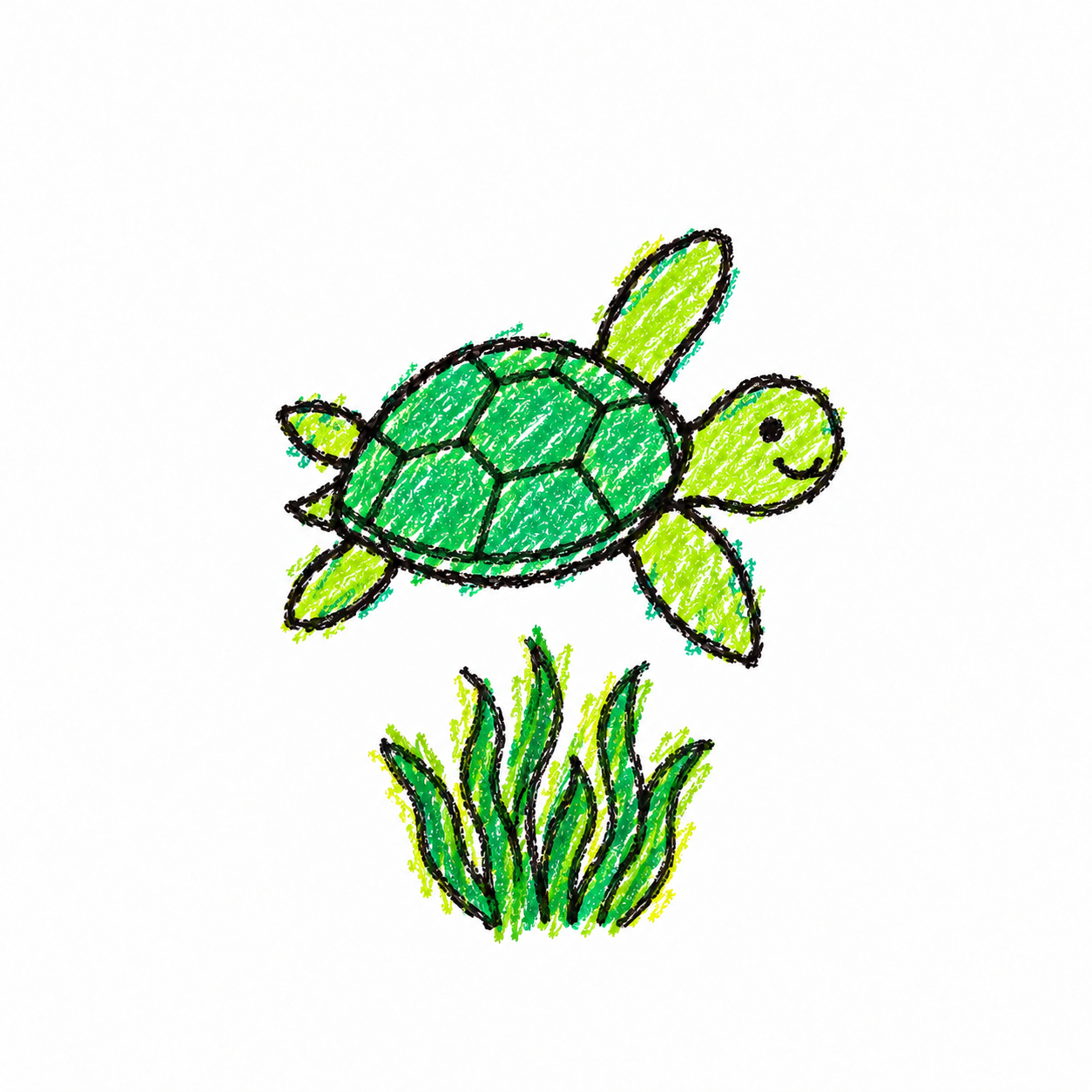 Green sea turtle Scene