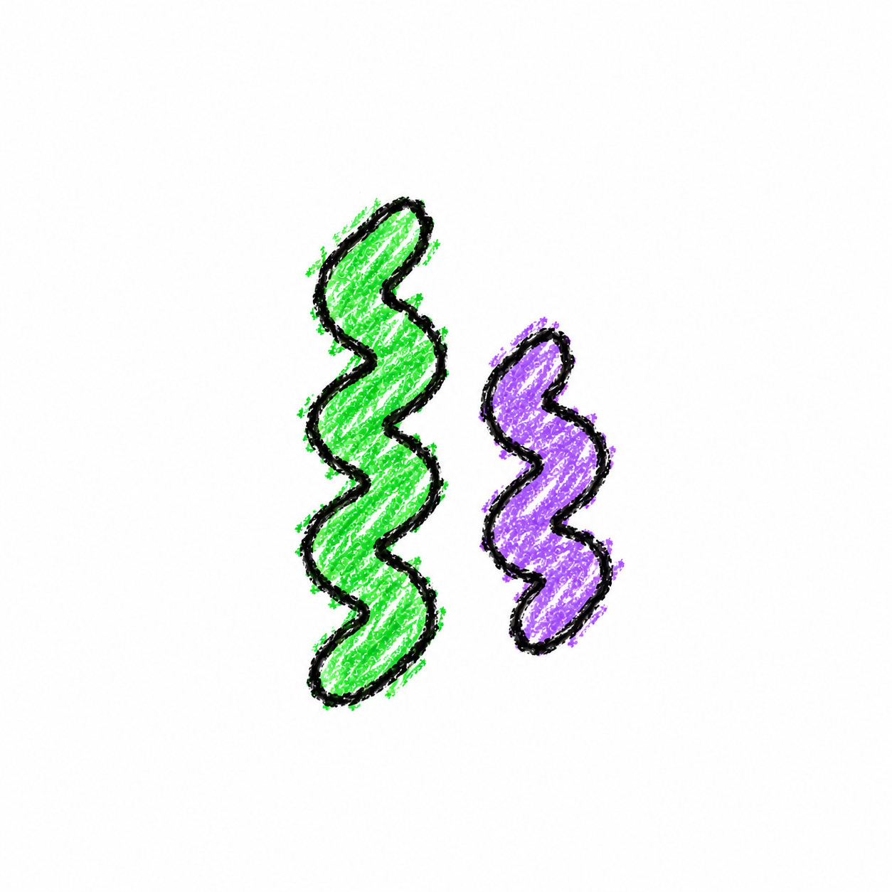 Spiral-Shaped Bacterium (Diagram) Scene