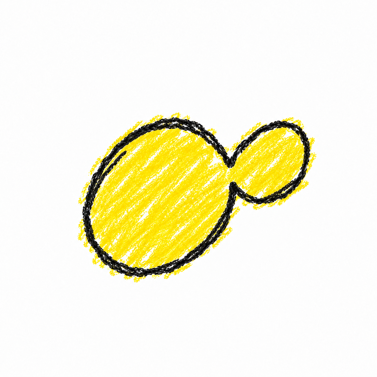 Budding Yeast (Diagram)