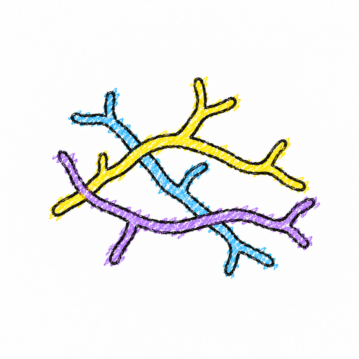 Fungal Hyphae (Diagram) Scene