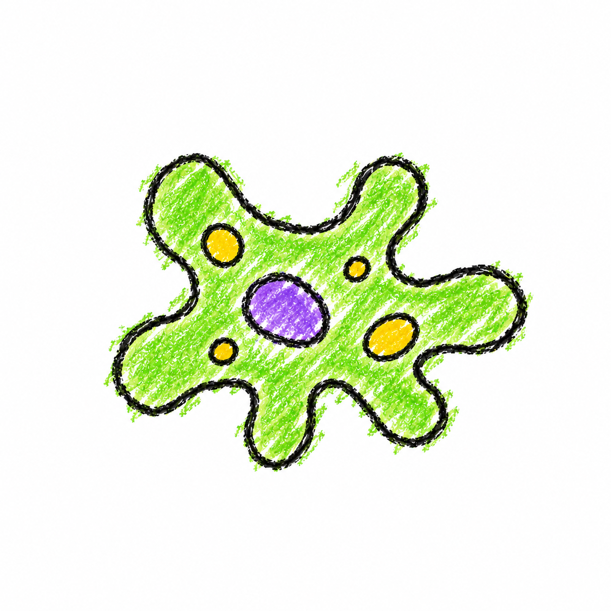 Amoeba (Diagram)
