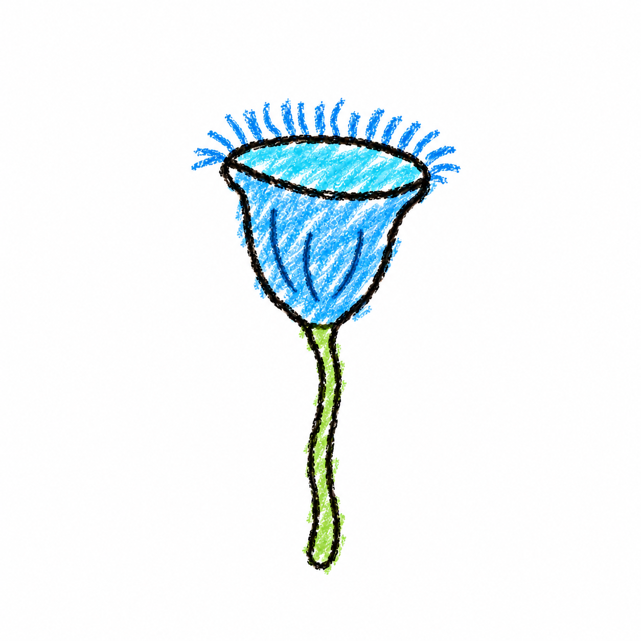 Vorticella (Diagram)