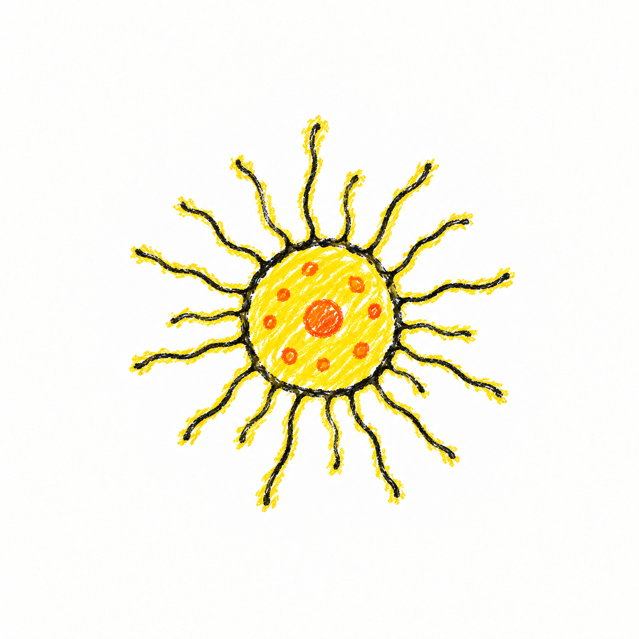 Heliozoan (Diagram)