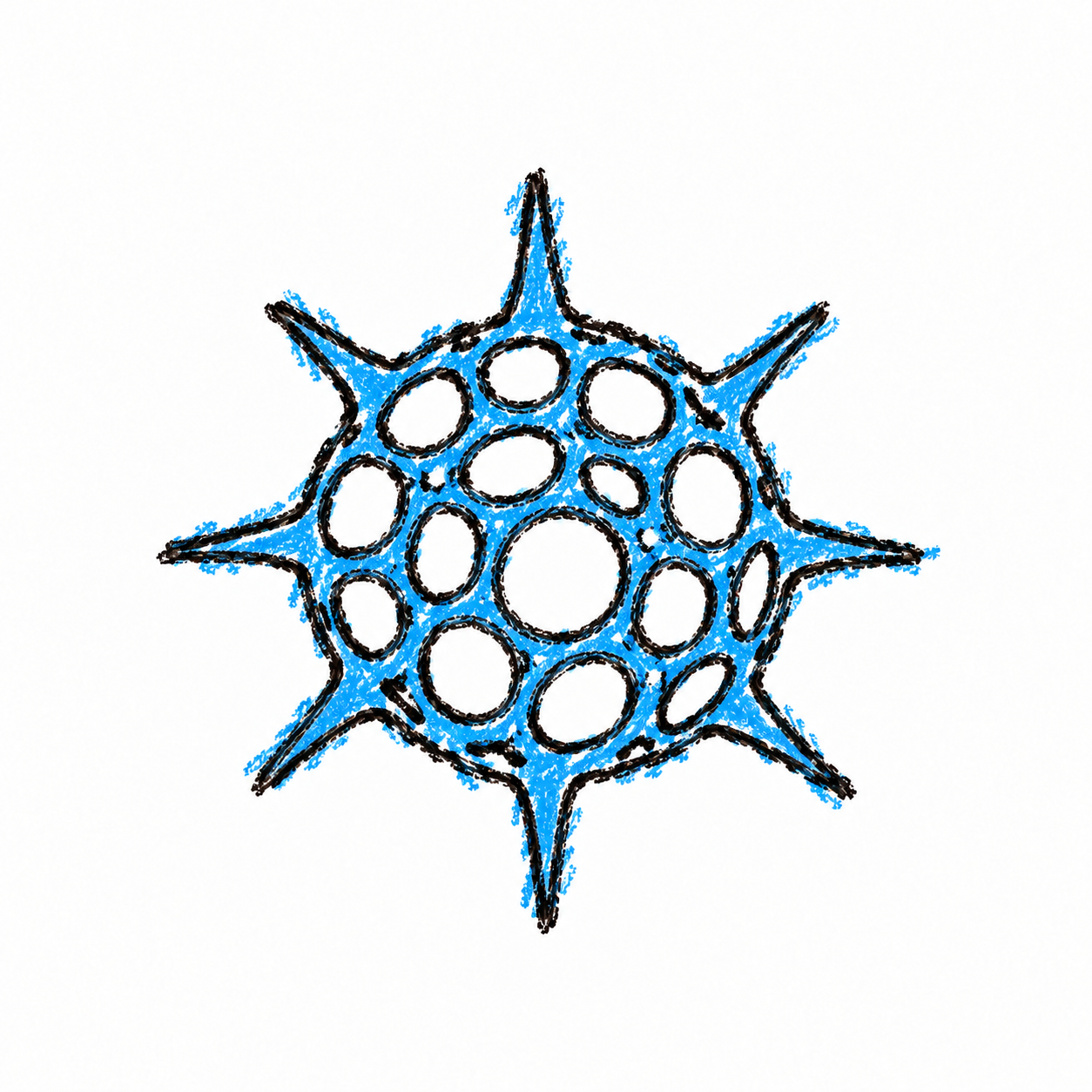 Radiolarian (Diagram)