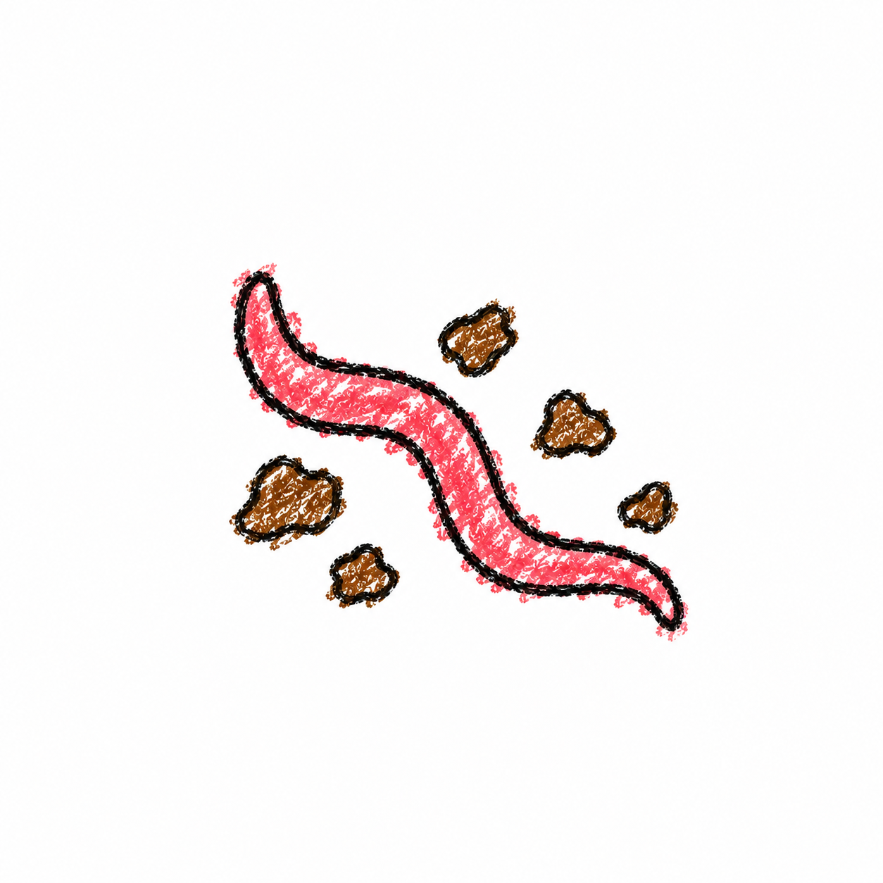 Nematode (Diagram) Scene
