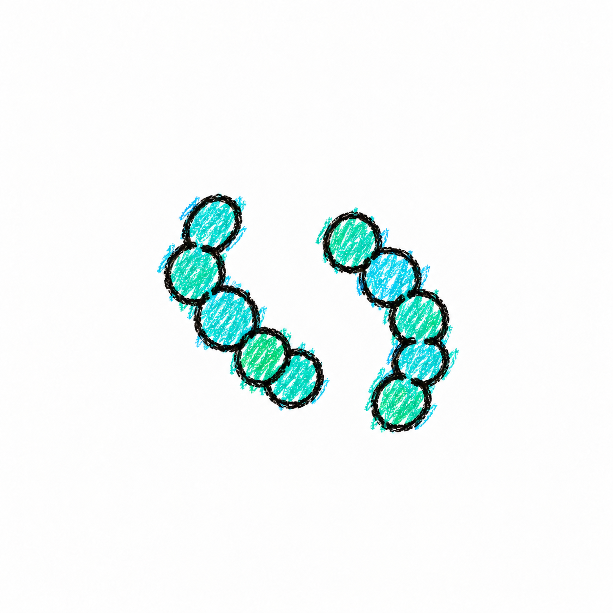 Nostoc (Diagram) Scene