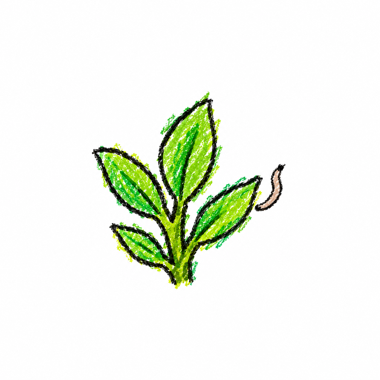 Moss Observation