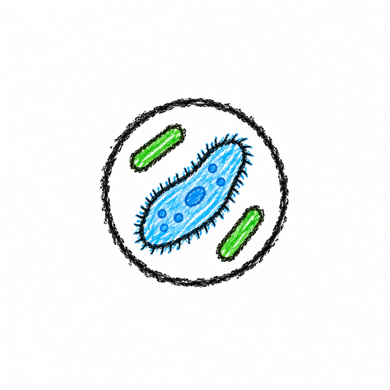 Microscope Field of View Scene