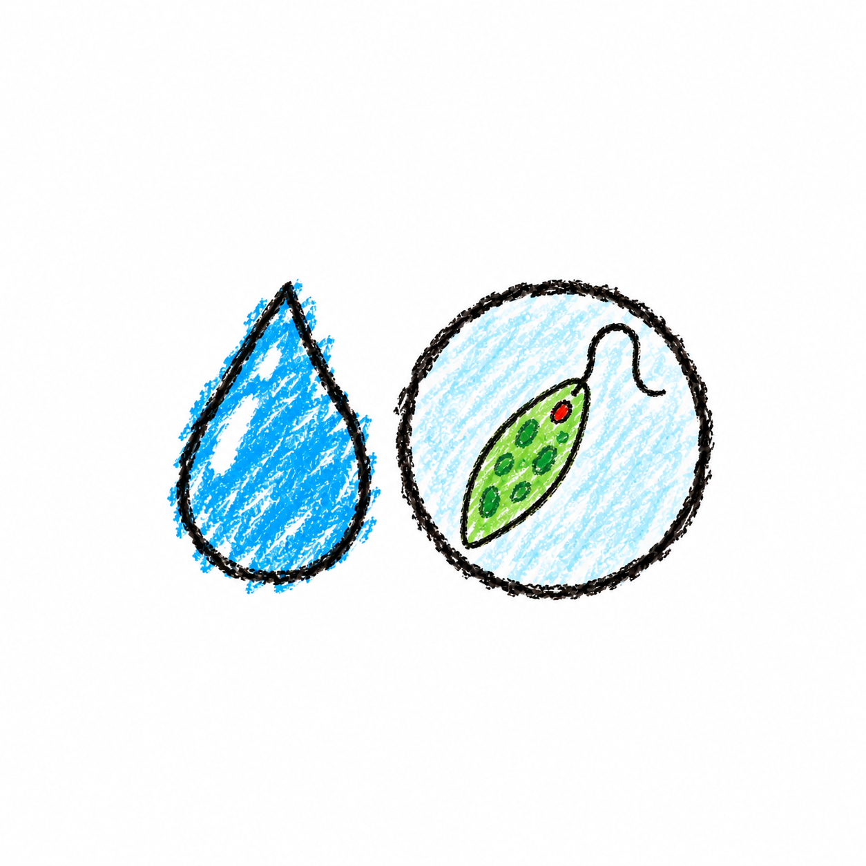 Pond Water Observation Scene