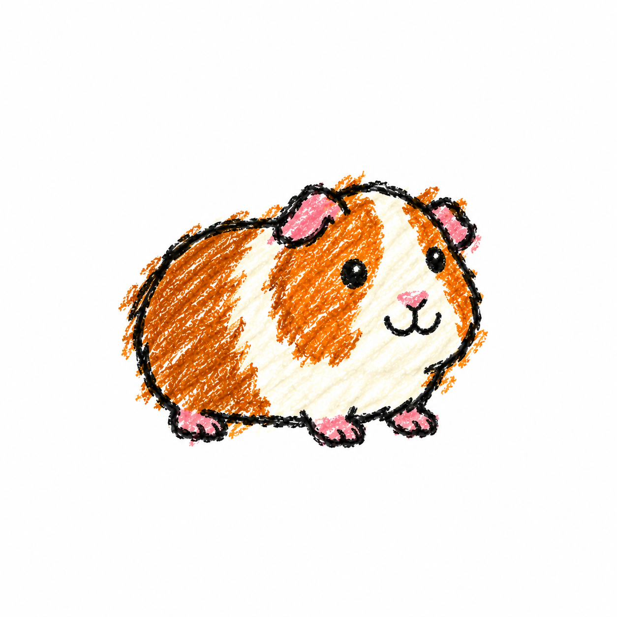 Guinea pig