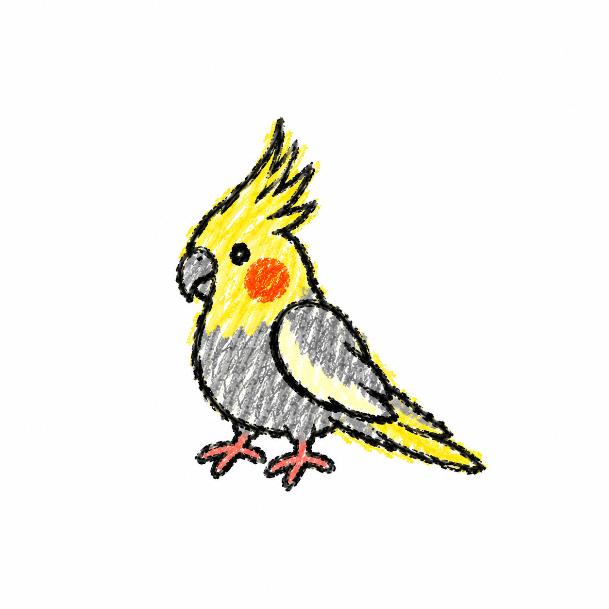 Cockatiel