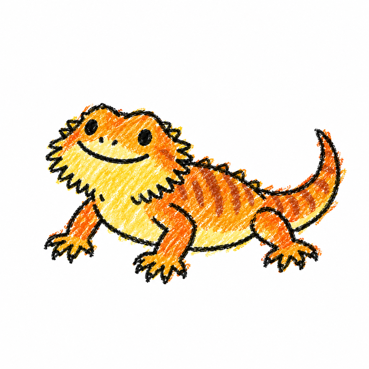 Bearded dragon