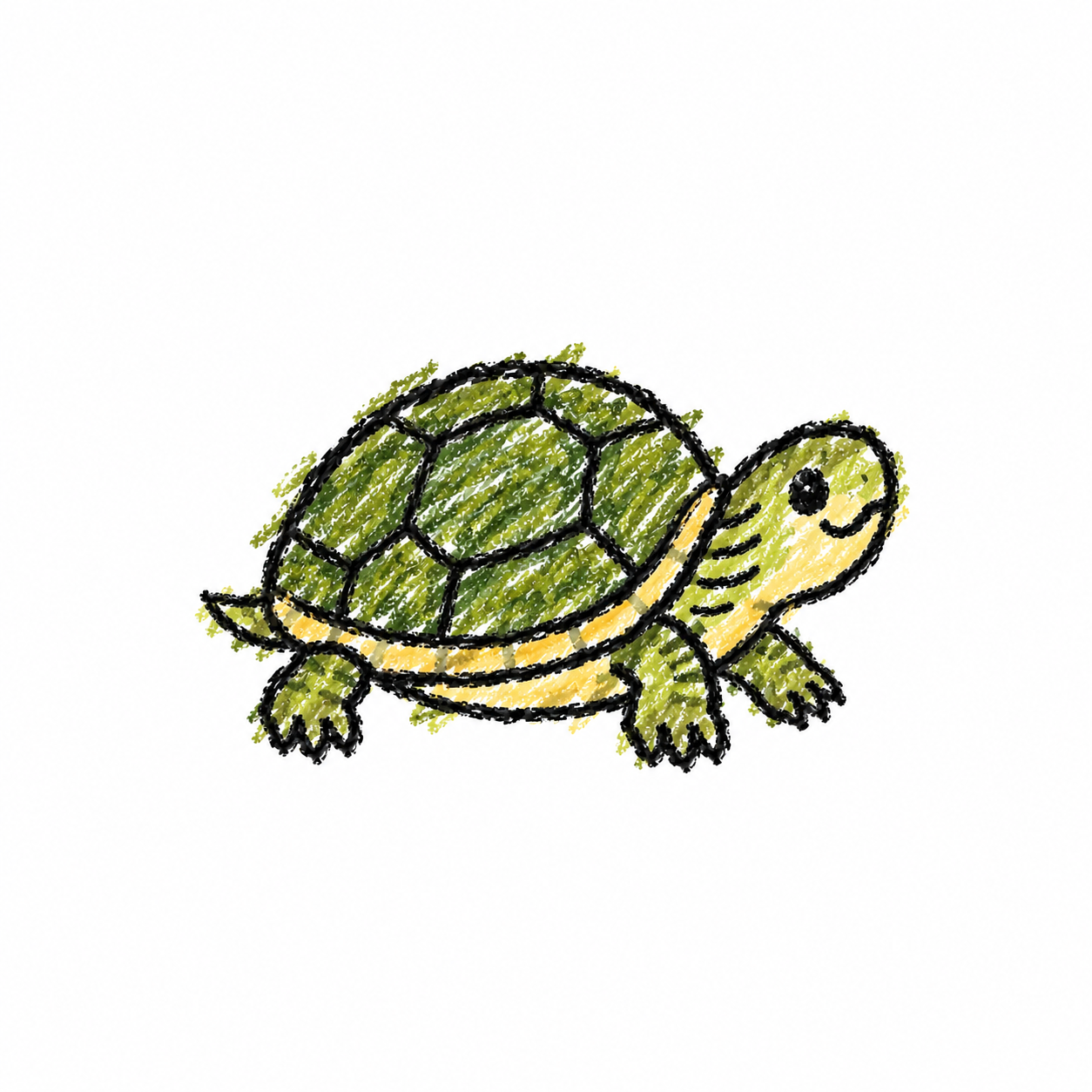 Musk turtle