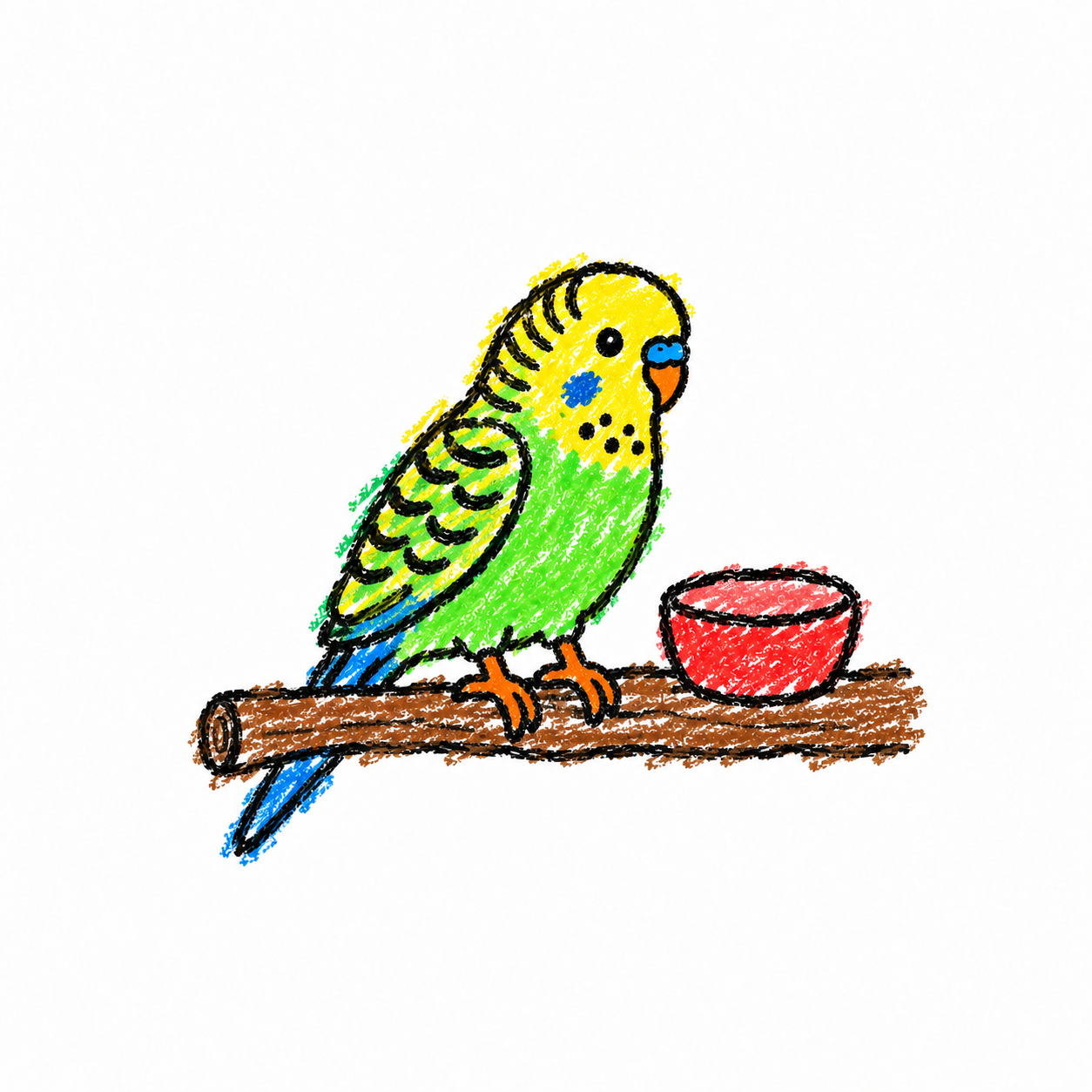 Budgerigar Scene
