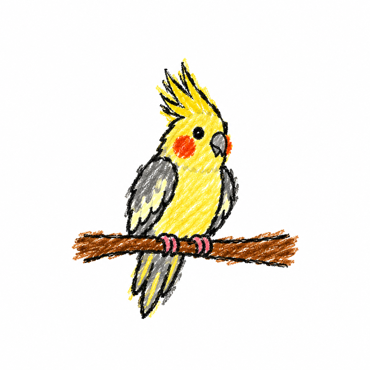 Cockatiel Scene