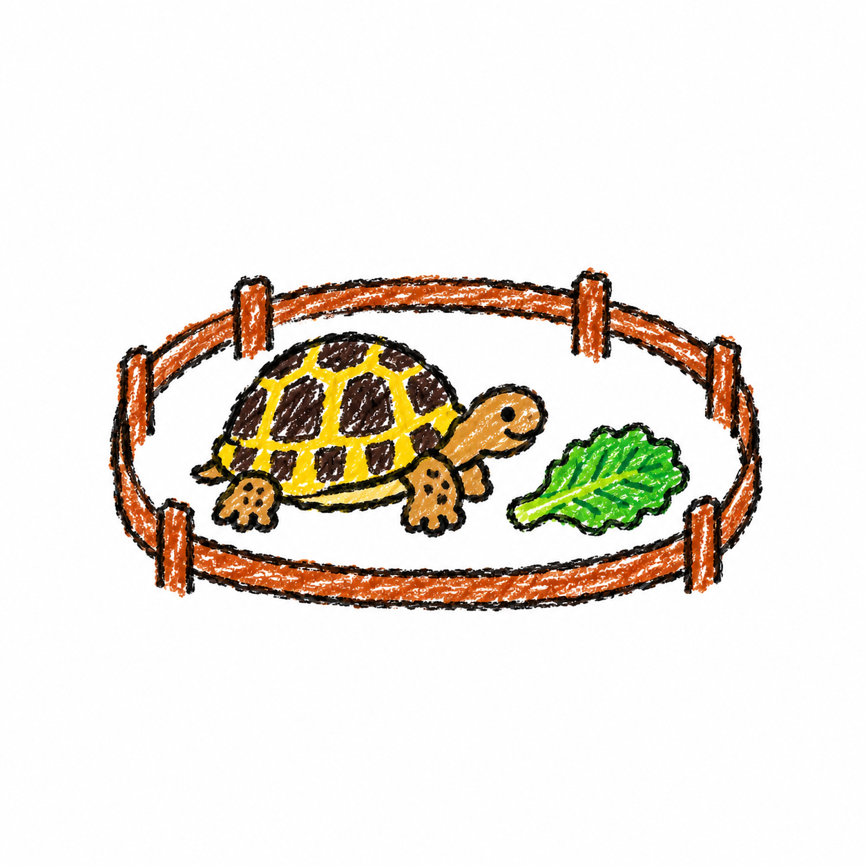 Hermann’s tortoise Scene
