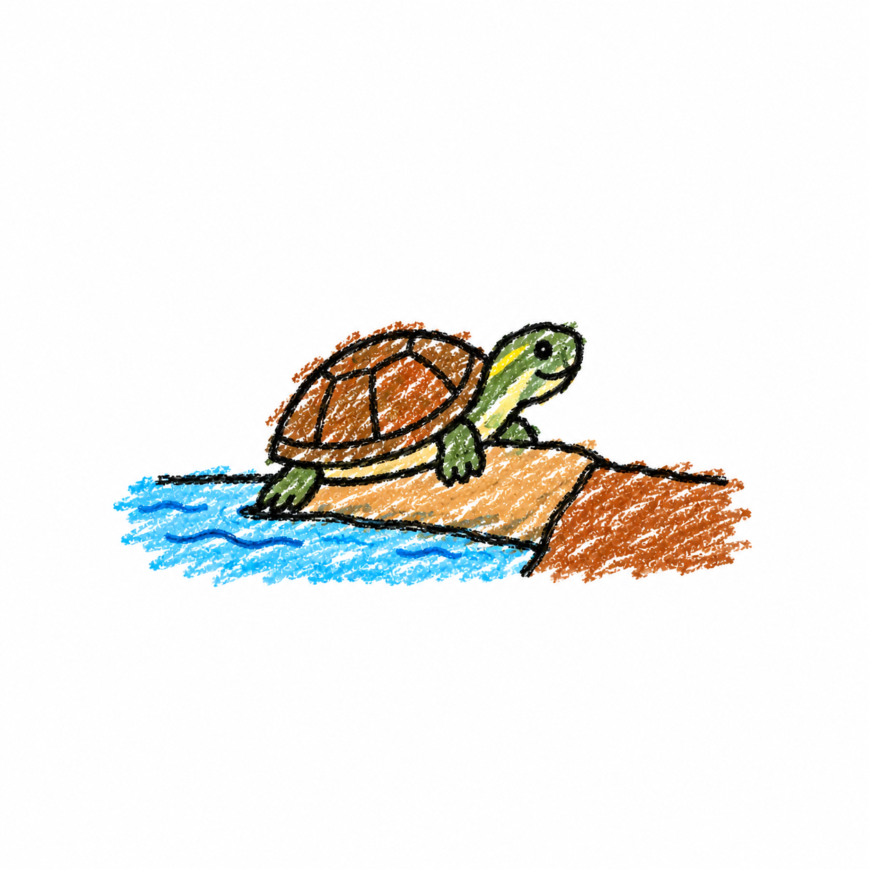 Musk turtle Scene