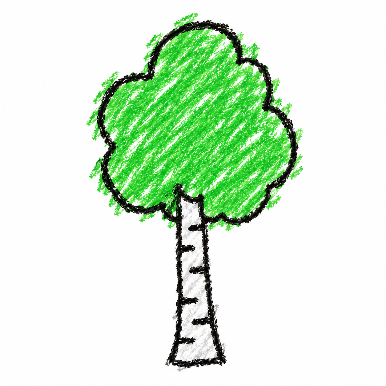 Birch tree