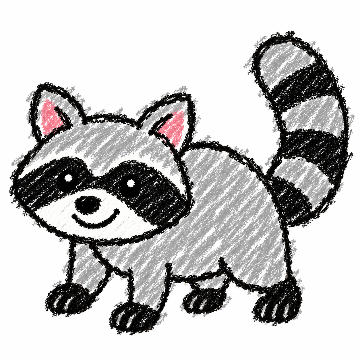 Raccoon