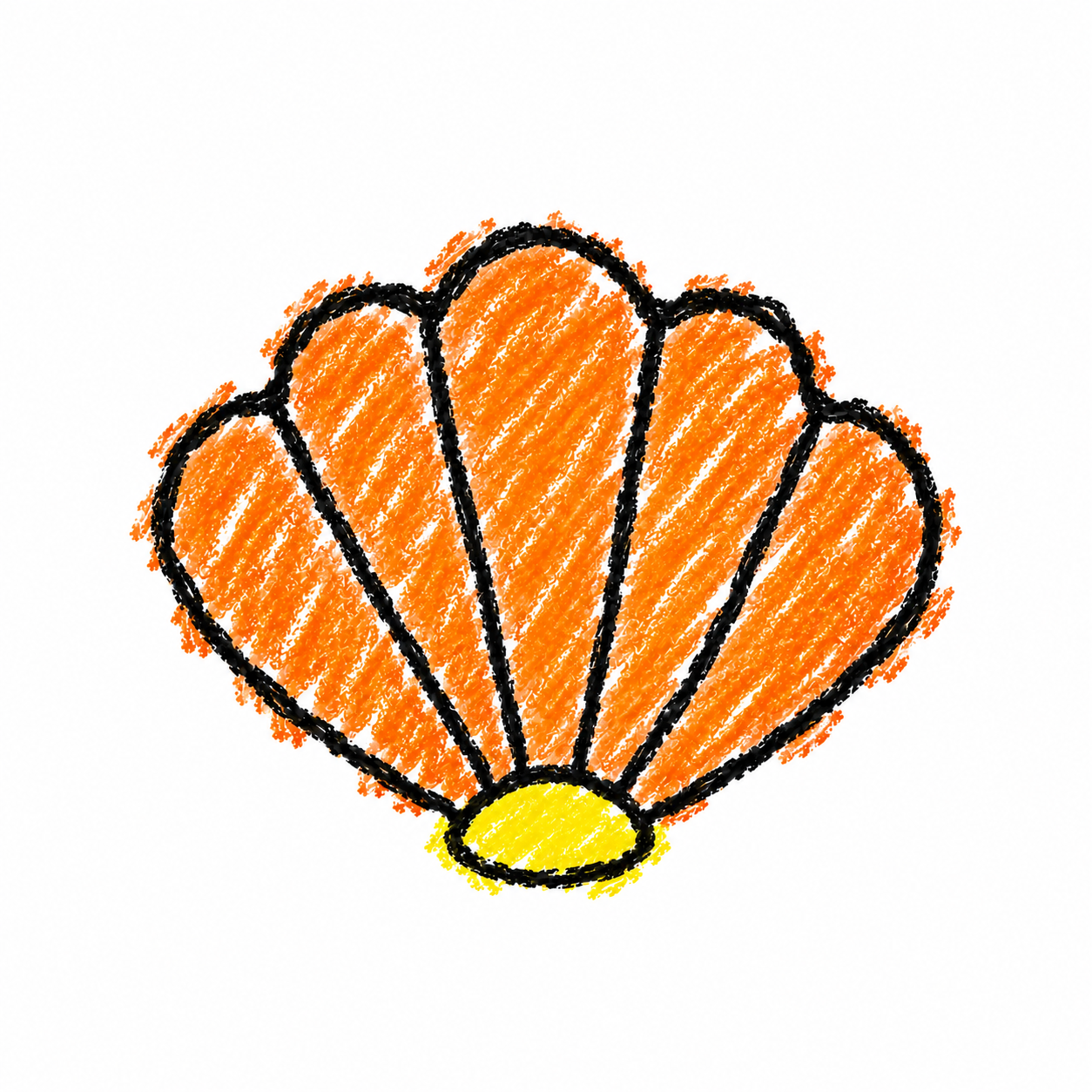 Scallop