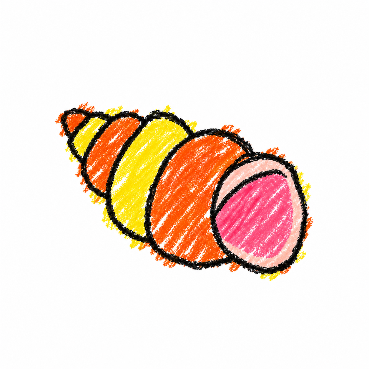 Conch shell