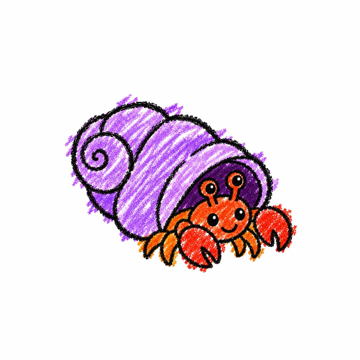 Hermit crab