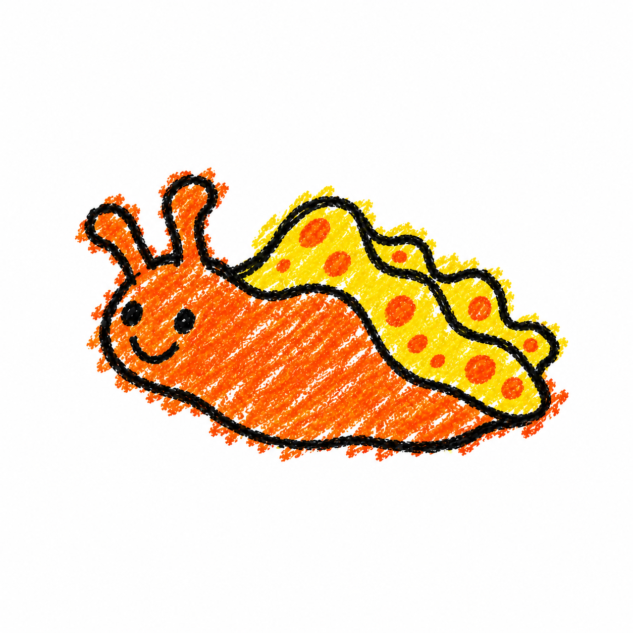 Sea slug