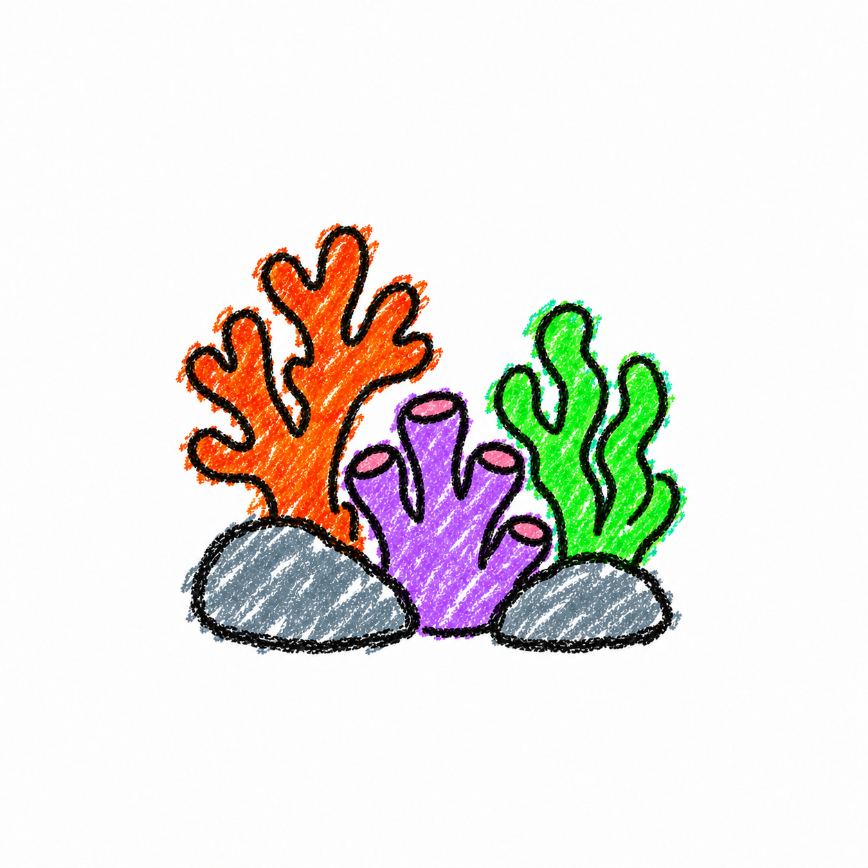 Coral garden