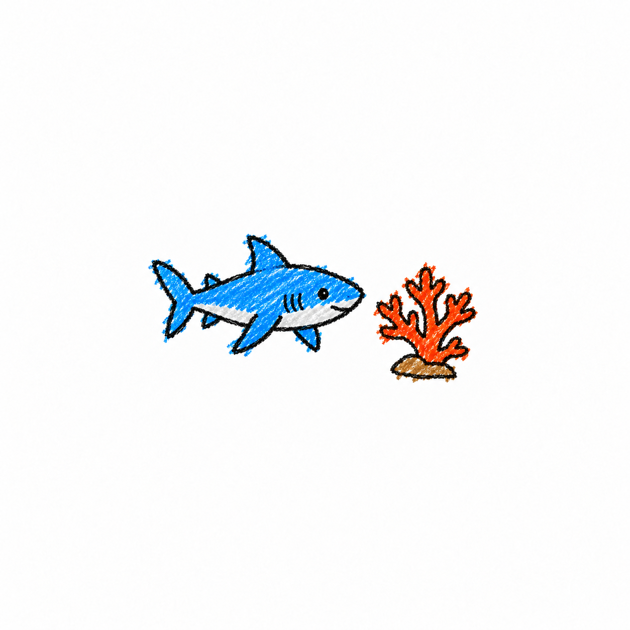 Reef shark and branching coral