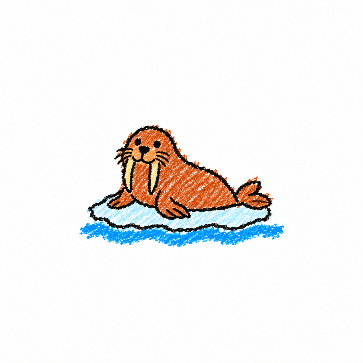 Walrus and floating ice