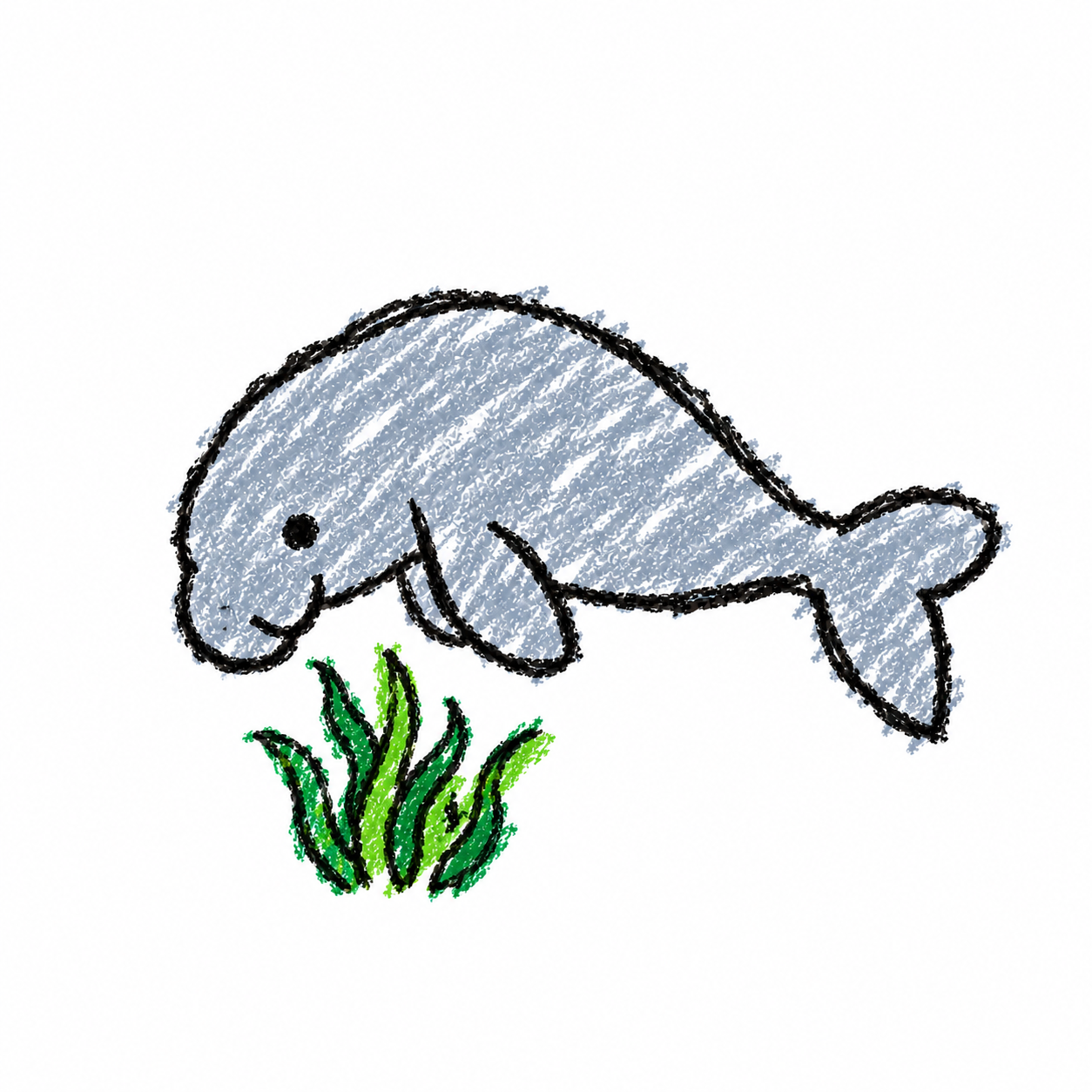 Dugong and seagrass