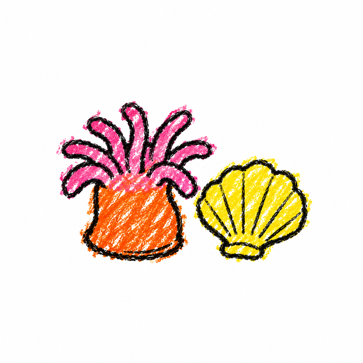 Sea anemone and scallop